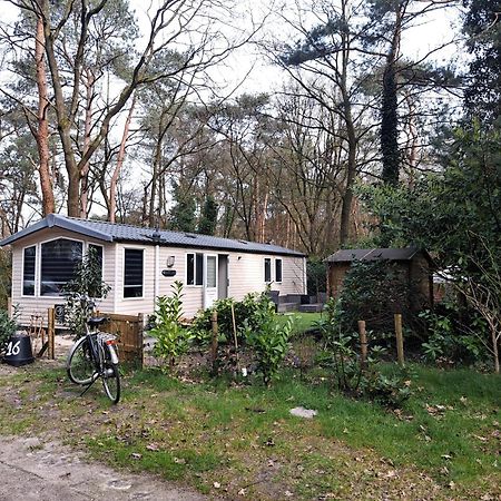 Ruim Chalet, Midden In Het Bos! ヌンスペート エクステリア 写真